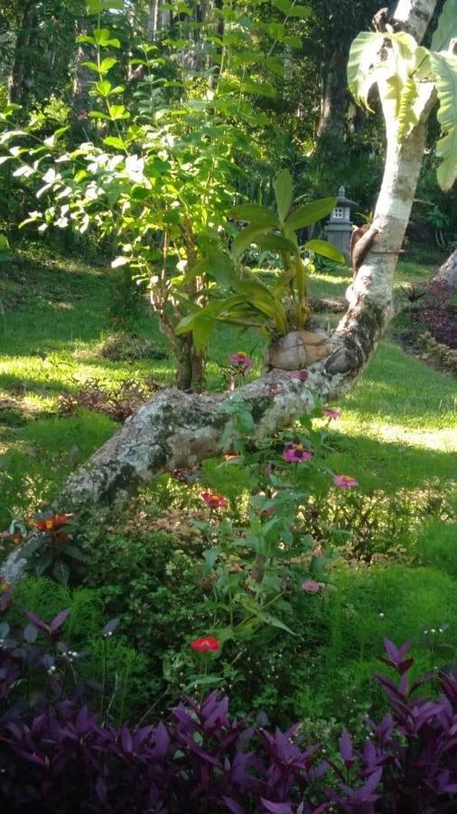 Balian Bliss Retreat Resort - Adults Only Екстер'єр фото