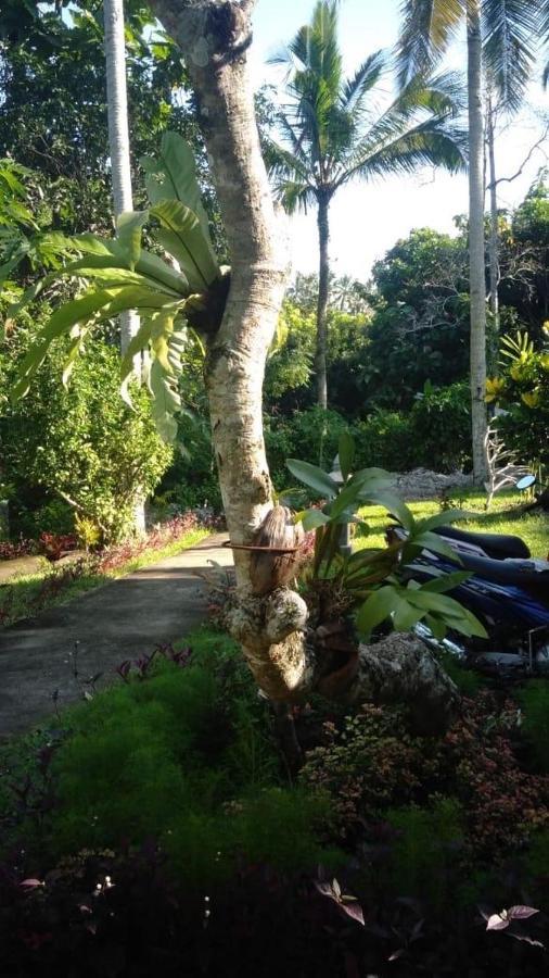 Balian Bliss Retreat Resort - Adults Only Екстер'єр фото