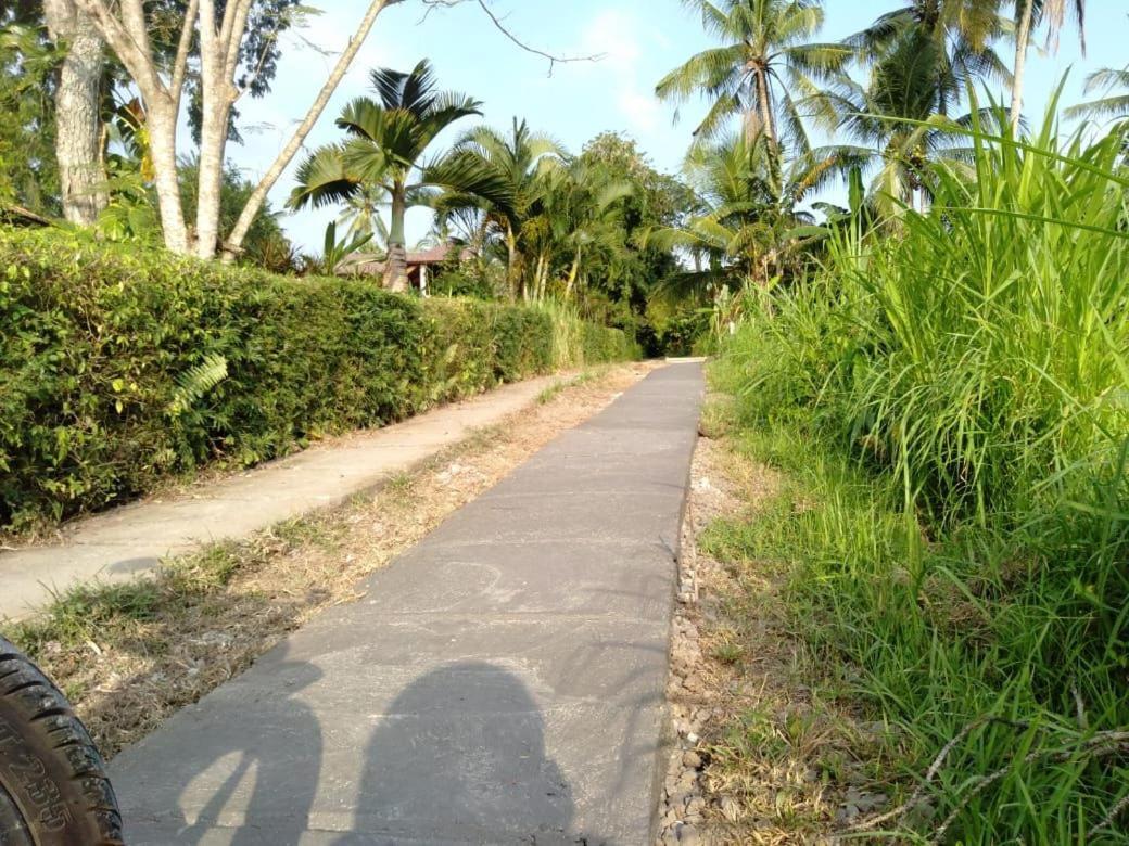 Balian Bliss Retreat Resort - Adults Only Екстер'єр фото
